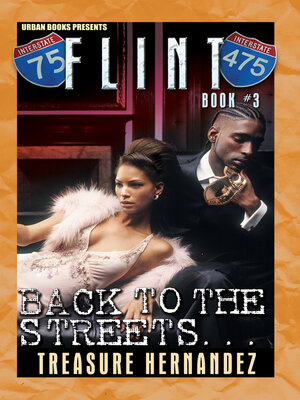 Flint Book 3 - ebook